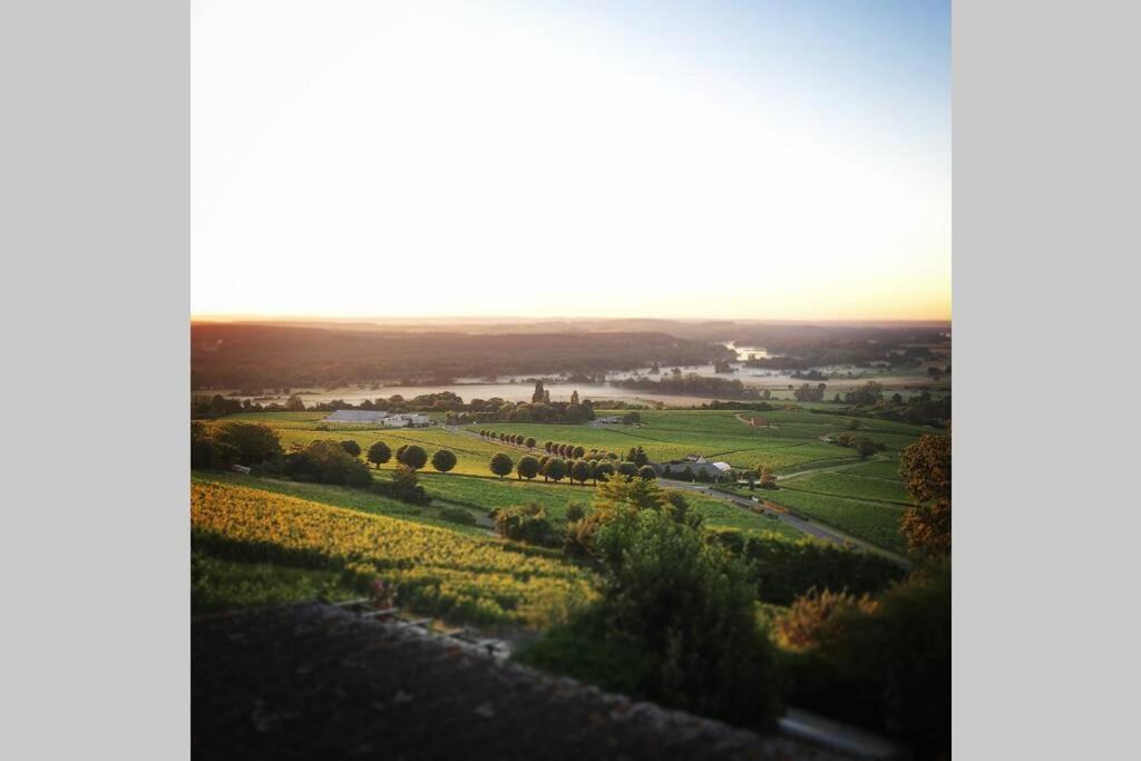 サンセールVue Panoramique Sur Le Vignobleアパートメント エクステリア 写真